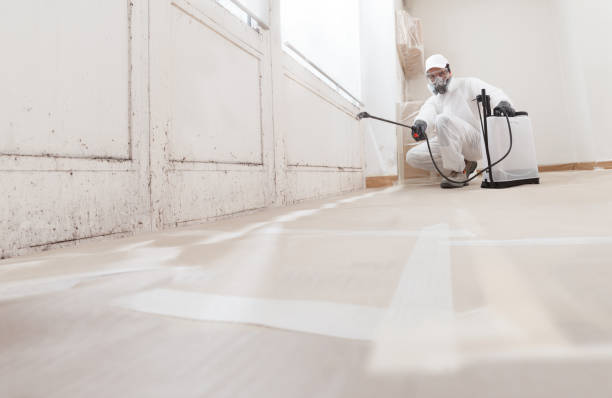 24/7 Emergency Basement Mold Remediation experts in Capron, VA