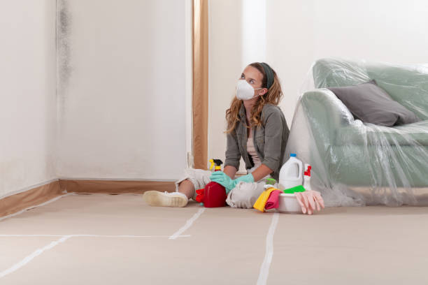 Reliable Basement Mold Remediation contractor in Capron, VA by Car Mold Remediation